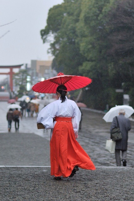 shinjihi:  Beautiful Japan 日本の美しい風景 