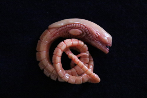ianaustinartworks:Chestburster embryo. Removed from host before maturation. Sculpey, enamel, 2016.