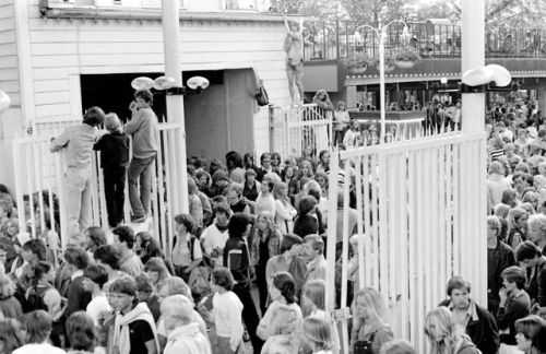 The Story Of Marley At The Grona Lund, 1980: Thirty-two thousand people were forced into trees, amon