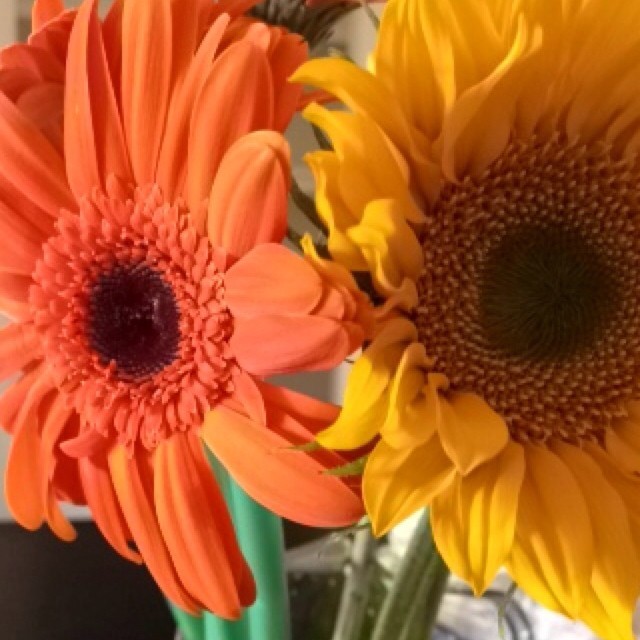 Day 24: favorite part of Christmas Eve. Surprise my family with gifts like flowers