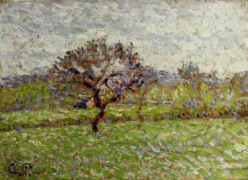 artist-pissarro: An Apple Tree at Eragny via Camille PissarroMedium: oil on panel
