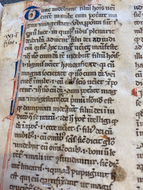 Ms. Codex 742 -[Sermones dominicales per circulum anni]This manuscript features a collection of anon