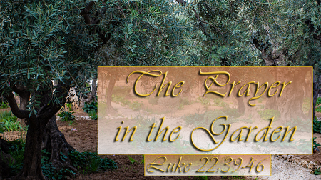 The Prayer in the Garden Luke 22