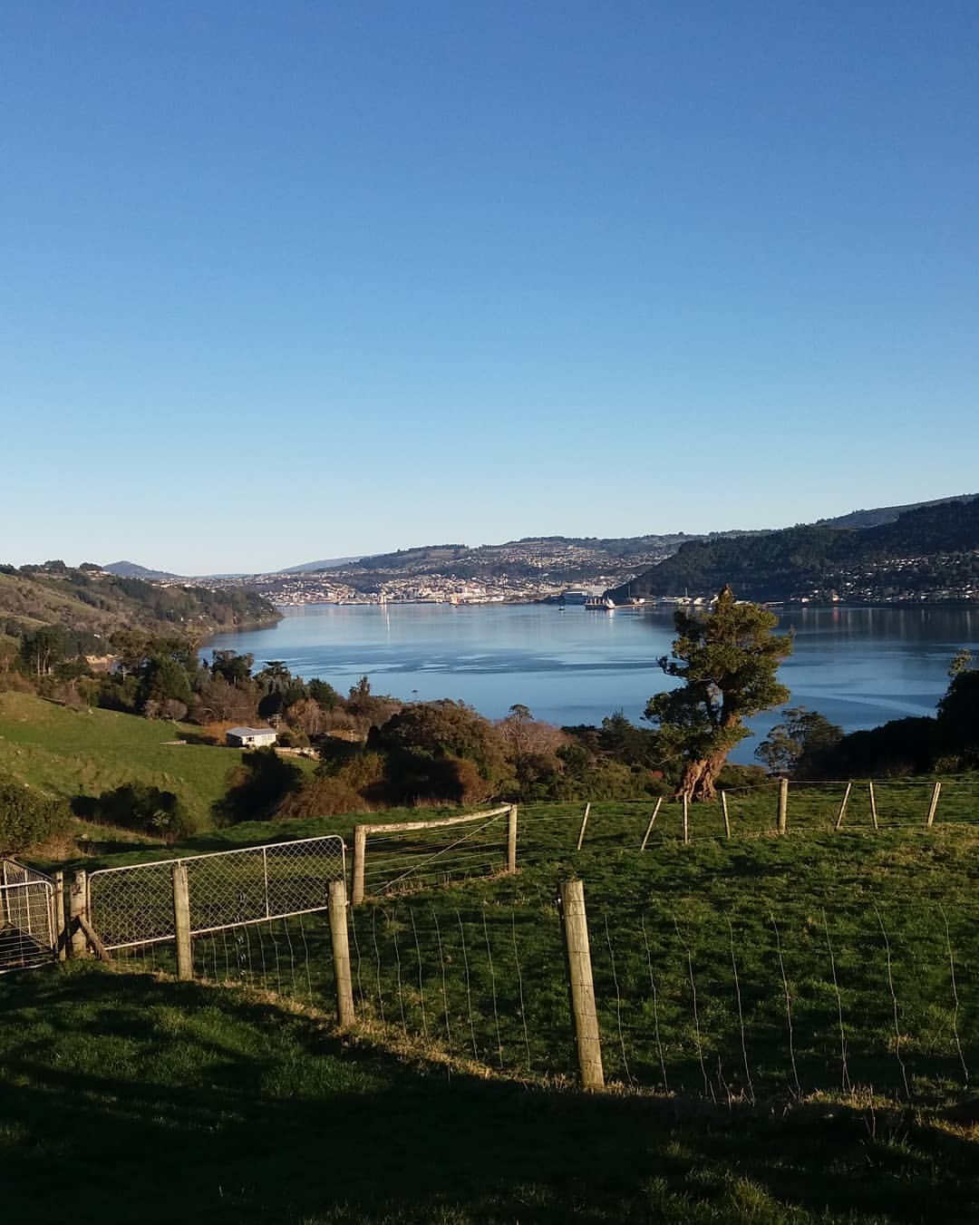 I love the Otago Peninsula. 💔