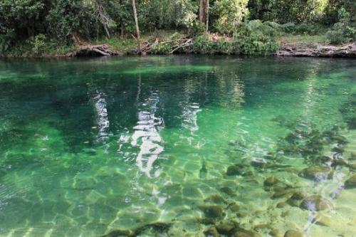 oceaniatropics: Babinda National Park, Queensland,  Australia