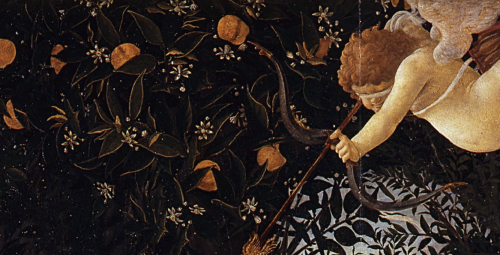 thehandoftheartist: Sandro Botticelli La Primavera (c. 1482) tempera on panel. Uffizi Gallery, 