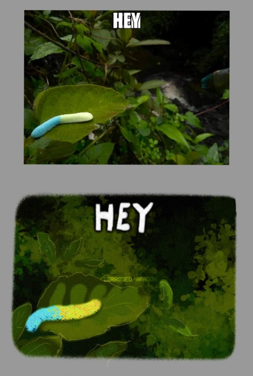 Hey 