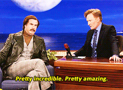 you know i love you donna