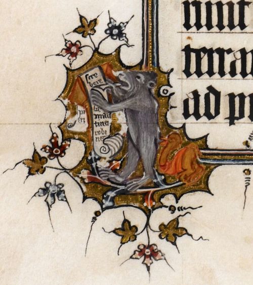 mediumaevum:Detail of a marginal illumination of a bear-scribe writing on a scroll, from the Bohun P