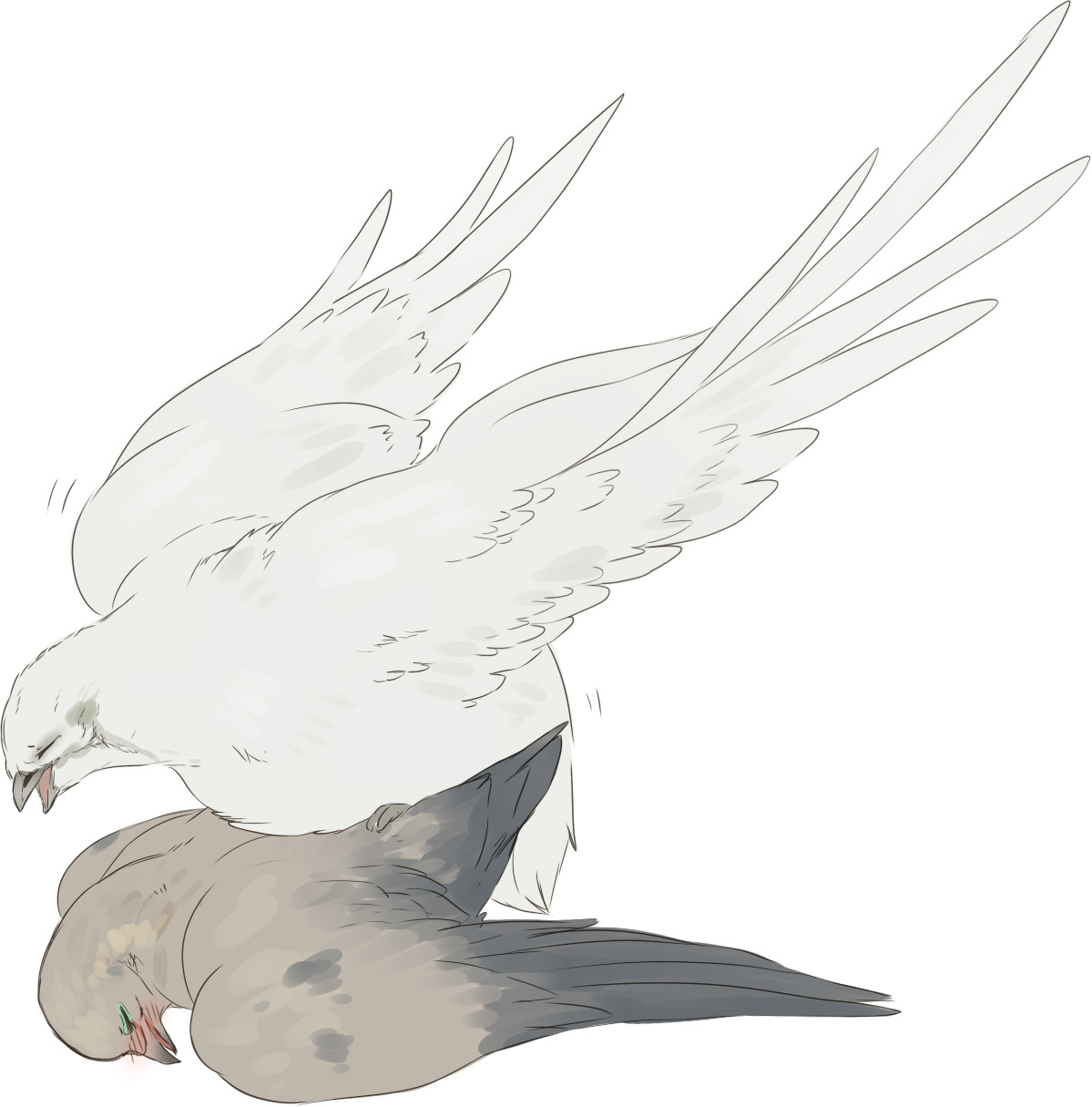 maimbutt:  I’m shipping birds, again.  omfg yessssss&hellip;!