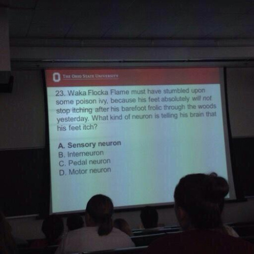 drakesfreckles:the-goddamazon:escapedgoat:I WISH MY TEACHERS WERE LIKE THISLMFAOOO I WOULD HAVE LEAR