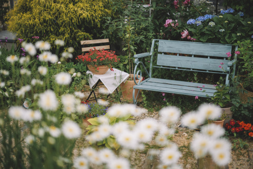 2022-05-14Flowers GardenCanon EOS R6 + RF50mm f1.2LInstagram  |  hwantastic79vivid