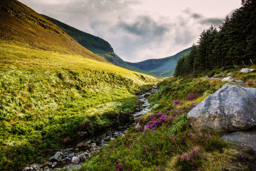 This is the Glen River on the lower slopes of Slieve Donard in the Mourne Mountains, Newcastle, Nort