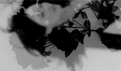 I'm scared of being left alone, like forever... I'm scared of being left alone, like forever...