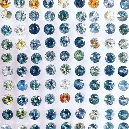 Montana Sapphires from AGTA’s Instagram