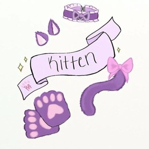 little-linabug: Blue & purple kitten moodboard requested by @alt-kitten-safe-space & an anon