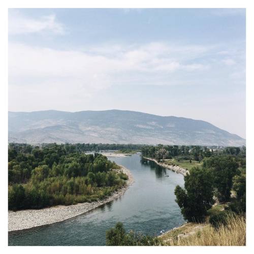 designbykadie:  Montana speaks my color palette love language 