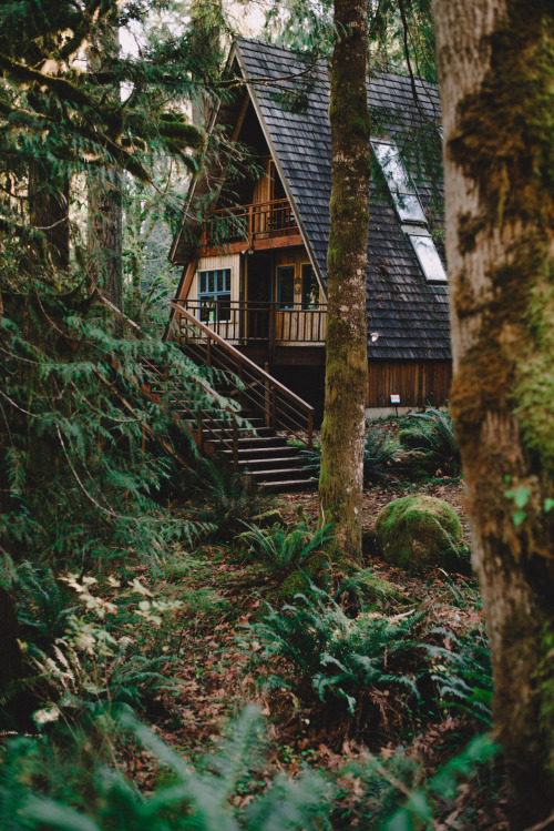 archatlas:    Kassandra Stockton A small sampling of the images from the Pacific Northwest you will find on the tumblr Dreamcatcher all captured by Kassandra Stockton. Enjoy the images that capture that magical combination of lush green forests full