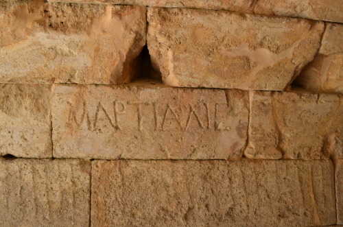 greek-museums:Ancient Nemea:The public bath of Ancient Nemea, the Temple of Zeus of Nemea, the stoa 