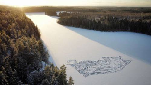 renamonkalou: Lake Pitkajarvi, north of Helsinki | Drew by Pasi Widgren This fox measures about 90 m