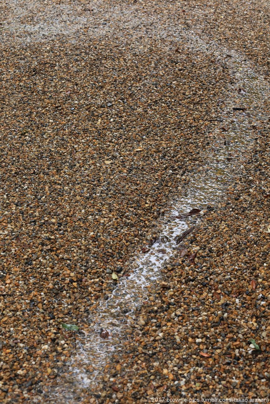 雀 Explore Tumblr Posts And Blogs Tumgir 雀 Explore Tumblr Posts And Blogs Tumgir