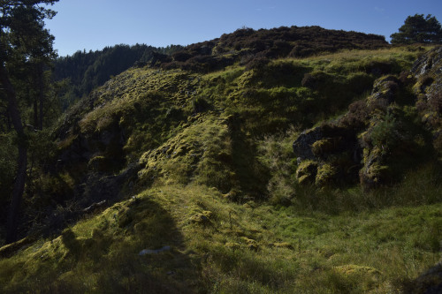 Dun Da Lamh - Fort of the Two HandsThis Pictish fort is located in Speyside, overlooking the River S