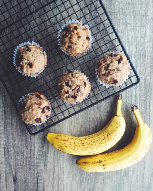 Vegan chocolate chip banana muffins. 100% cruelty free !