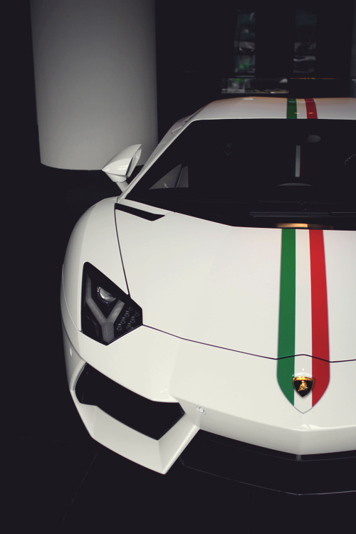 mistergoodlife:  LP700-4 Aventador Nazionale