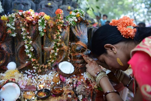 Naga Puja, Karnataka