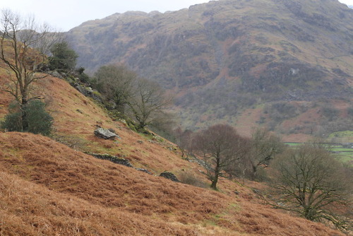 charmingcreatures: Taking a break in the lovely Lakes