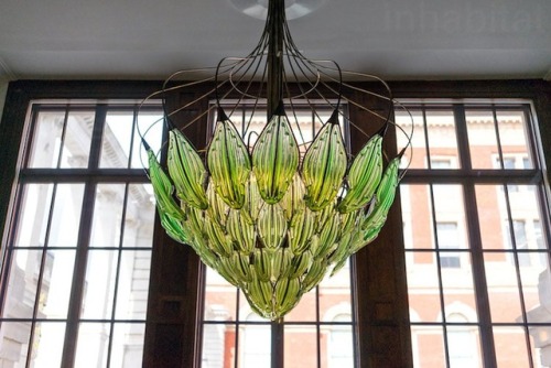 “Living” Chandelier That Naturally Purifies the Air Contains Real AlgaeDesign engineer and biotechno