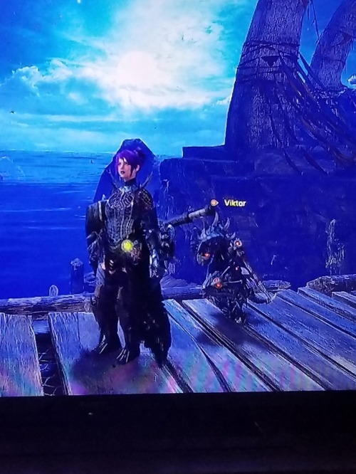 Porn photo Here is my Hunter and Palico Emmy and Viktor