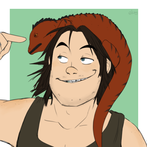 ekayart:  HTTYD modern AU ! Animals instead of dragons! :Y 