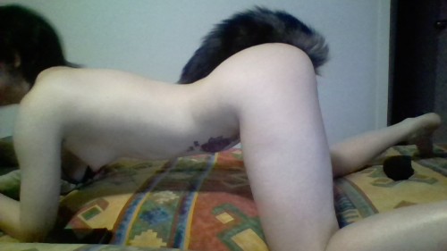 pixie-oni:  masters little fox kit.new tail arrived. its a real silver fox fur tail :3