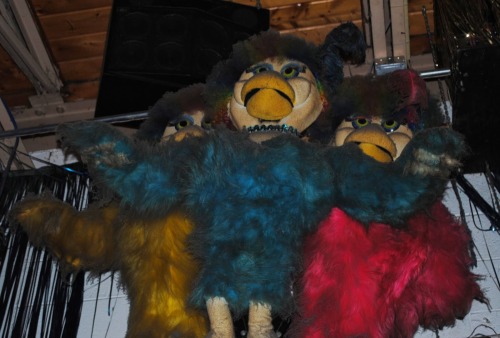Pictures Of The Chuck E Cheese Animatronics At Marvins Marvelous Mechanical Museum. The Chuck E Cheese