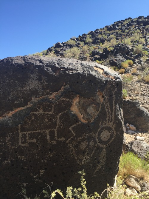 wtfarthistory: Petroglyph National Monument, Albuquerque, New Mexico