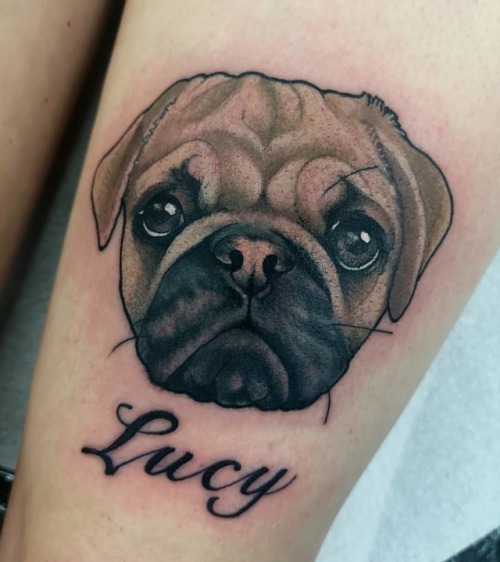 Shiny puggle. Space in September at triplesix tattoo #pug #pugtattoo #neotraditionaltattoo #mothersr