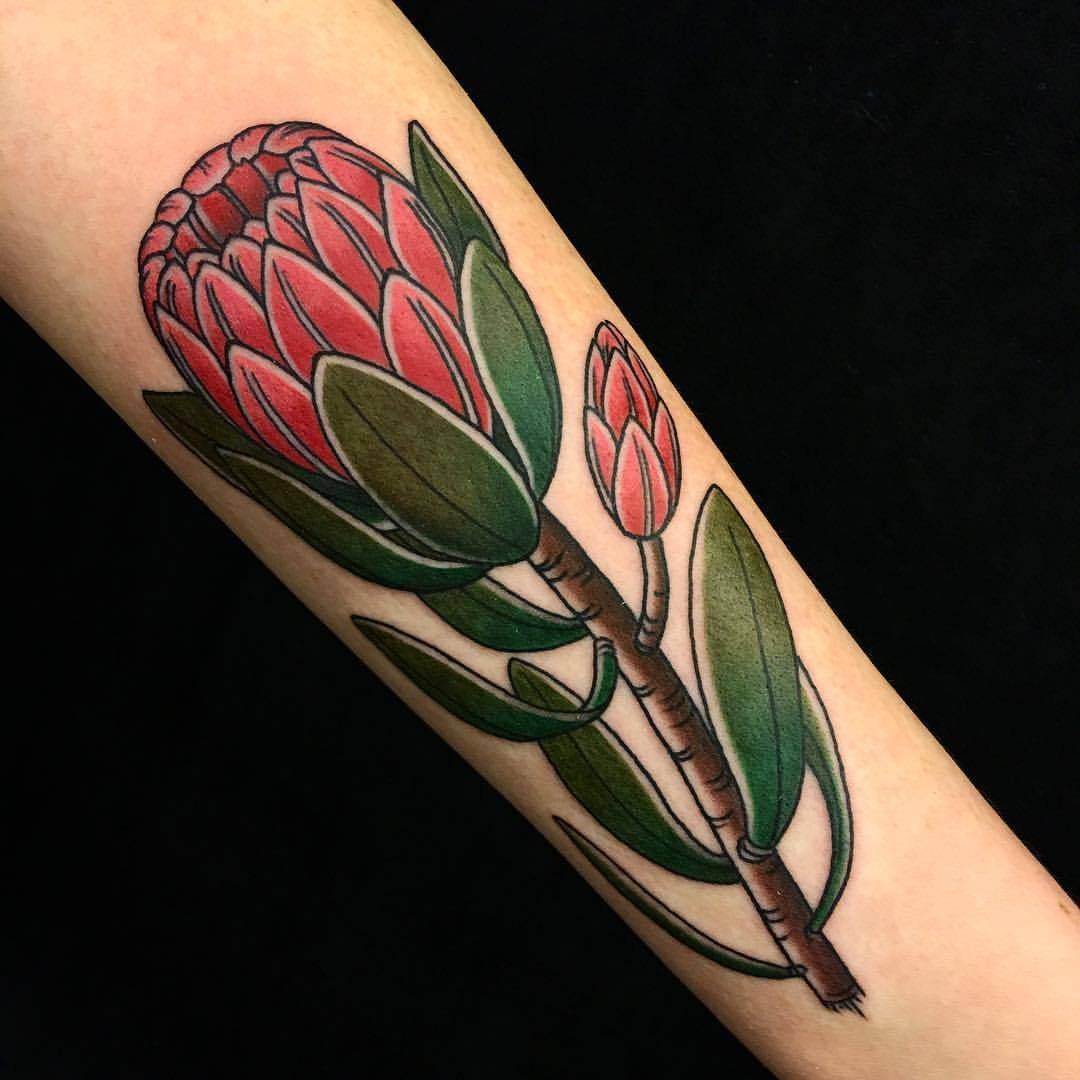 Protea Tattoo Concept on Behance