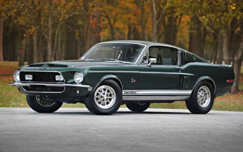 Muscle Cars Fans