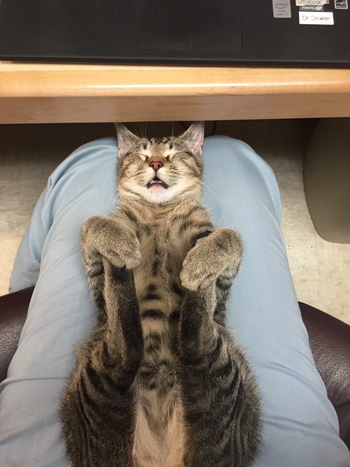 Sassy Bitch