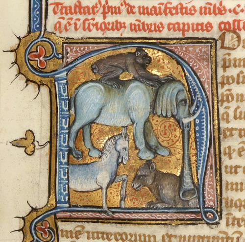 initial &lsquo;N&rsquo;St. Albert the Great, De animalibus, Paris 14th centuryBnF, Latin 16169, fol.