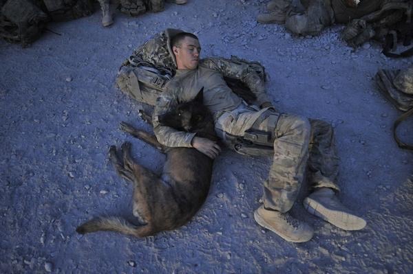majorleagueinfidel:  War Dogs serving in Afghanistan – 2007-2012. 