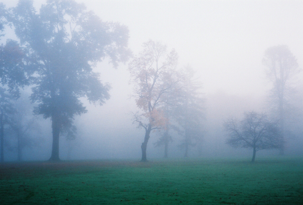 englishsnow:  by S. Shorey 