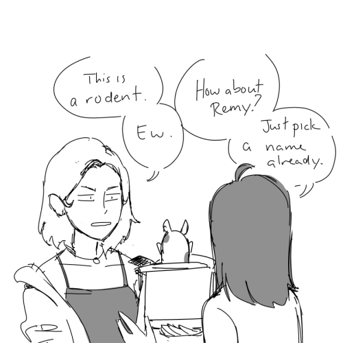 roommates au: marinette and chloe get a hamster [next]