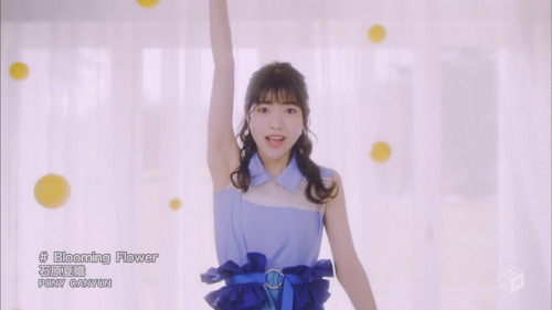 himanji:  PV 石原夏織　Blooming Flower 