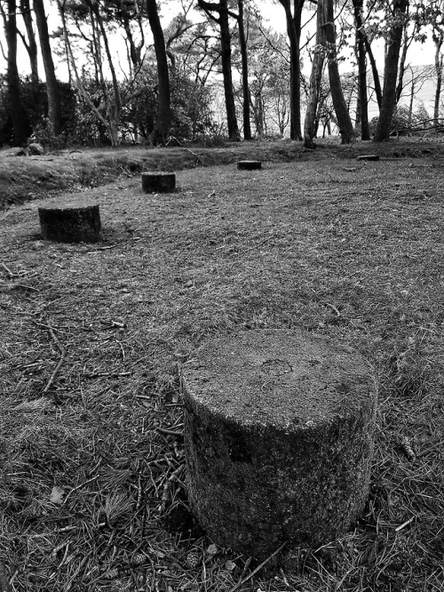 Bleasdale Bronze Age Timber Circle, Lancashire, 12.5.18.There really isn’t anything like Bleasdale T