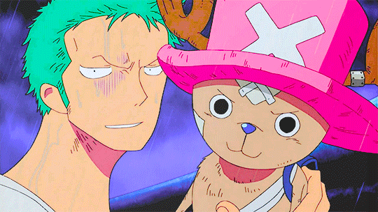 🪷Soul Writing🪷 — Ooo, can I get headcannons with Mihawk and Zoro