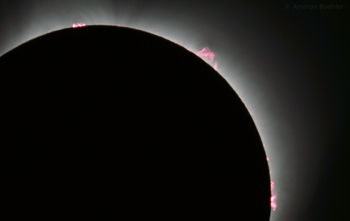 Solar Prominences During Totality [OC] [4000x2525]