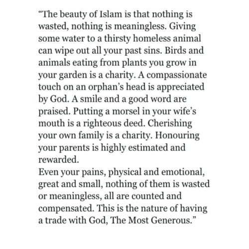 learningaboutislam: beautyislam: Islam is beautiful in so many ways, but what really makes it unique