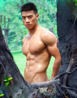 Viva!Asian hunks!